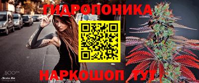 PSILOCYBIN Кунгур