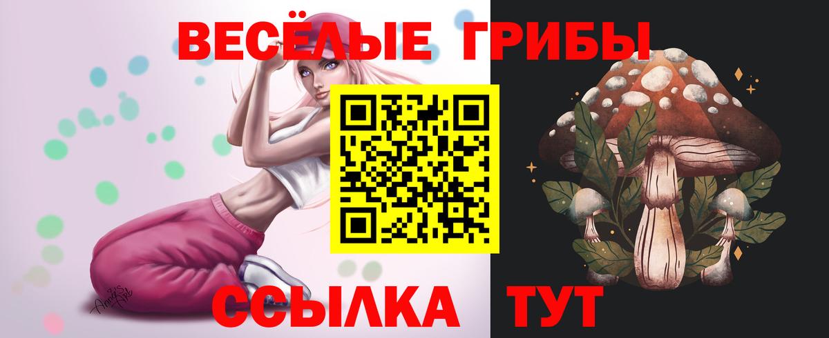 Псилоцибиновые грибы ЛСД  Вход с VPN  где купить наркотик  Тайшет 